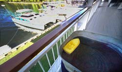 IMG_9081